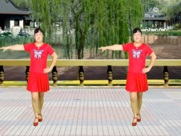 龙海追梦的32步广场舞《你给我的爱》教学视频