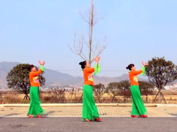 黄材国兵的抒情广场舞《爱的悲哀》教学视频