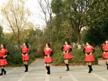 新嘉兴玫瑰的广场舞《吉祥》教学视频