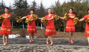 西安紫陌的花球广场舞《新年一起旺》教学视频