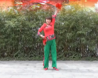 重庆宝娜的手绢广场舞《过年的味道》教学视频