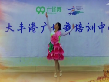 大丰港风阳的广场舞《中国美》教学视频