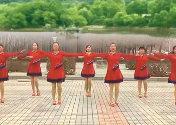 河南华姐的32步广场舞《雪莲花》教学视频