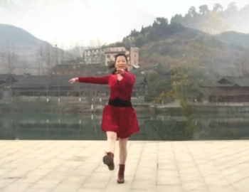 贵州开心的广场舞《吉祥中国年》教学视频