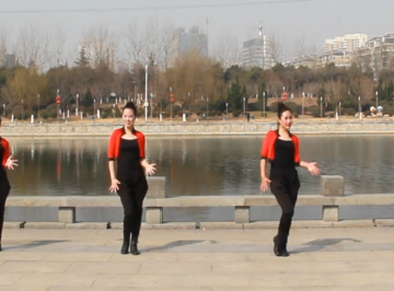 山东莲雨荷的广场舞《预约》教学视频