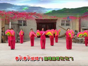曹村镇红玫瑰广场舞《春天蝴蝶飞》视频