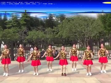 紫兰花广场舞 《 天下最美的草原》视频