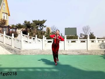 山东紫怡然广场舞《牛在飞》教学视频