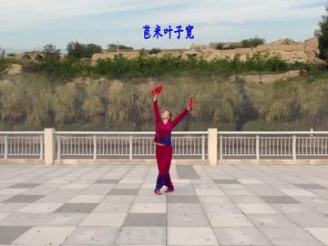 南通云燕广场舞《庄稼院的歌》视频