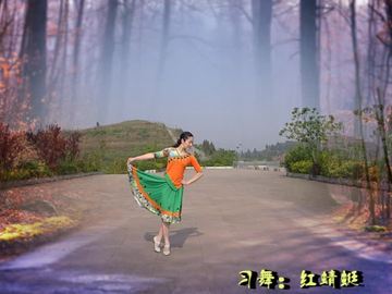 重庆红蜻蜓广场舞《情深谊长》视频