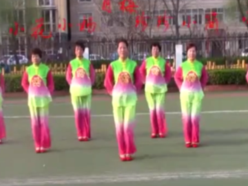 月梅广场舞《东北妞》教学视频