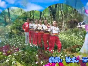 凤舞辰州广场舞《站在高高的山岗上》视频
