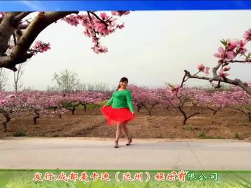 河南禹州樱花广场舞《我在成都等你》视频
