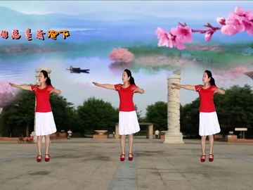 信阳凤之凰广场舞《记得咱的家》教学视频