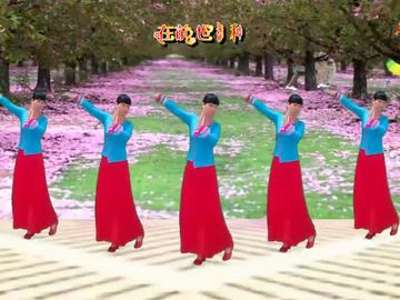 阳光美梅广场舞《种花》视频