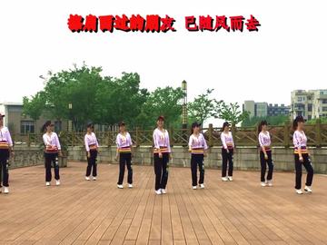 誓言广场舞《姐妹情义》教学视频