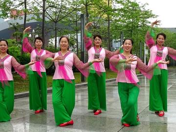 深圳山茶广场舞《泛水荷塘》教学视频