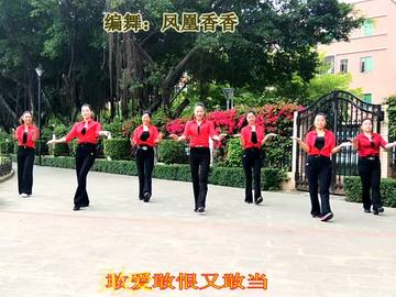 凤凰香香广场舞《人生太复杂》教学视频