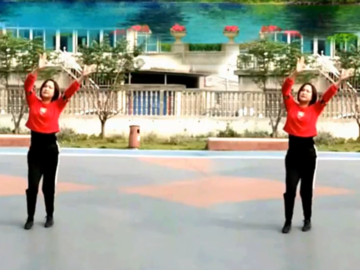 胖鸽子广场舞《不变的情缘》教学视频