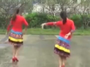 重庆叶子广场舞蹈《溜溜的情歌》教学视频