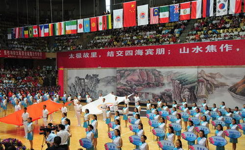中国第九届焦作国际太极拳交流大赛 9月开幕