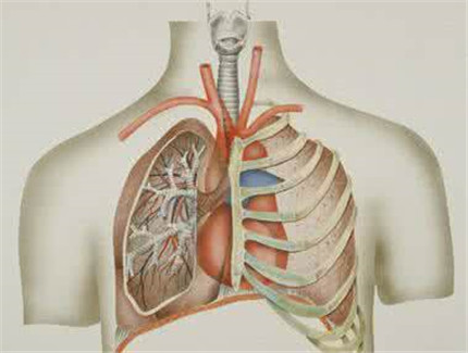 肺气肿的原因有哪些?肺气肿有哪些症状?