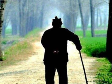 中老年人散步的最佳时间是什么时候?中老年人散步的方法有哪些?