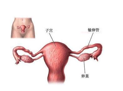 造成功能性子宫出血的原因有哪些?4大食疗法缓解子宫出血
