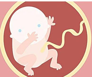 如何预防胚胎停止发育?推荐几种胚胎停育的治疗方法