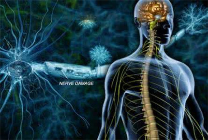中枢神经系统感染早期症状介绍 中枢神经系统感染怎么治疗?
