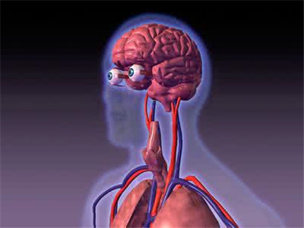 中枢神经系统感染早期症状介绍 中枢神经系统感染怎么治疗?