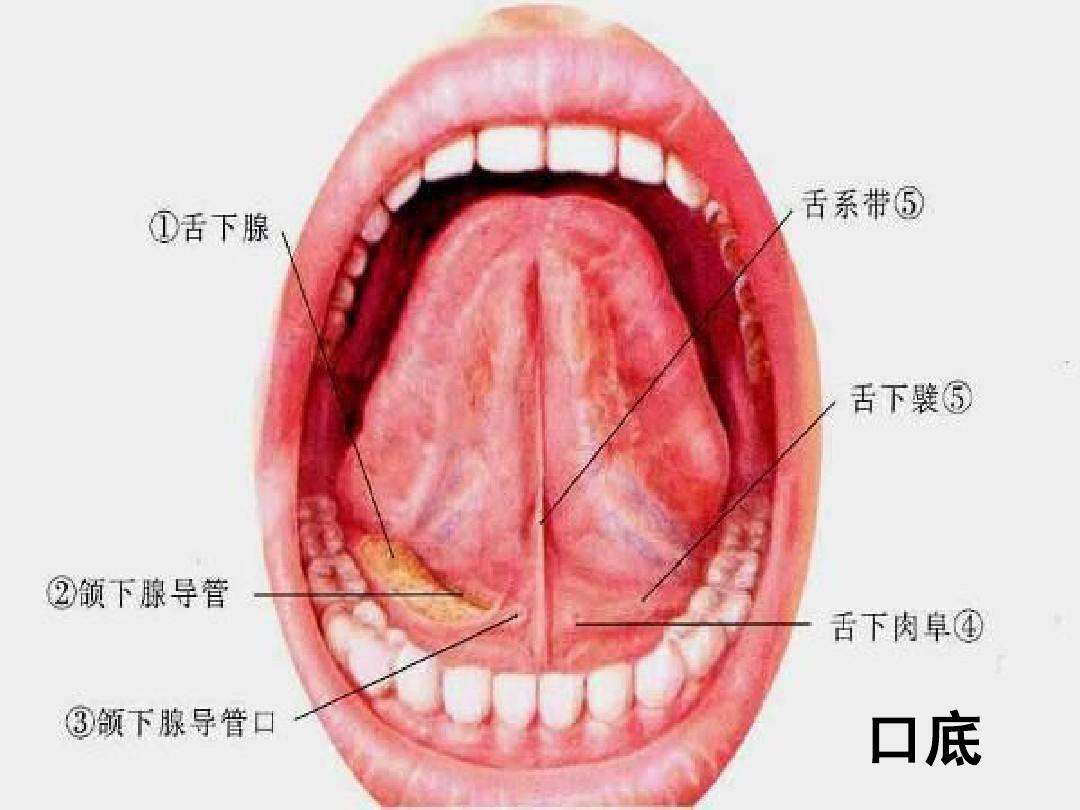 口底癌的诱发因素有哪些?口底癌需要做的三大检查