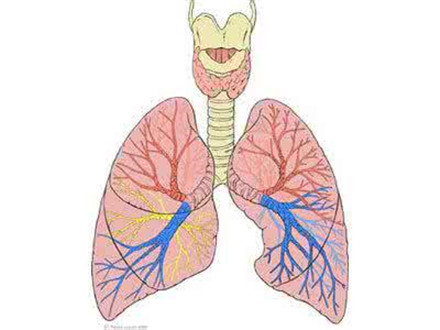支气管痉挛症状有哪些?支气管痉挛怎么治疗?