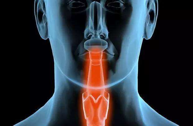 咽喉痛最佳治疗方法?治疗咽喉痛的8大食疗方法