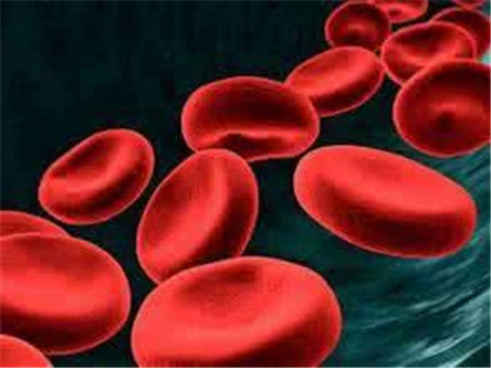 血流变检查是什么?血流变检查可以检查什么病?