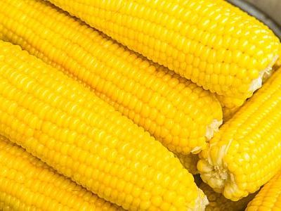吃玉米会胖吗?吃玉米减肥的食谱