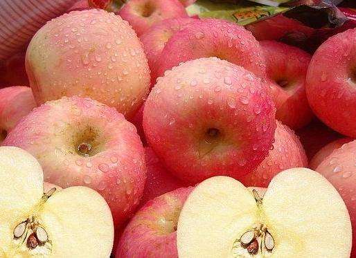 苹果减肥食谱 让你健康轻松瘦十斤