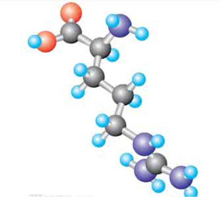 盘点氨基酸的作用和副作用 氨基酸怎么补充?