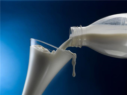 鲜牛奶的营养价值 鲜牛奶什么时候喝?