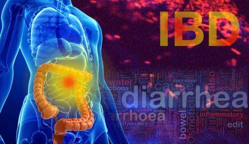 什么是IBD?IBD对人体健康有何危害?