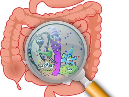 什么是IBD?IBD对人体健康有何危害?