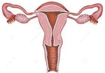 子宫脱垂的原因有哪些?子宫脱垂的治疗方法