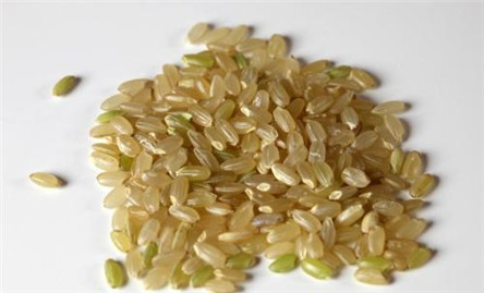 糙米是什么米?功效和作用告诉你答案
