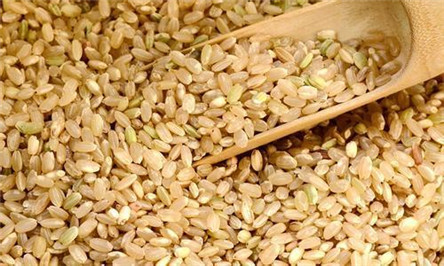 糙米是什么米?功效和作用告诉你答案
