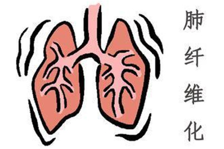 肺纤维化能活多久?这几点是主要原因