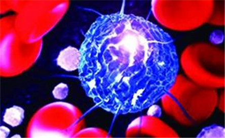 慢性淋巴细胞白血病危害和治疗方法