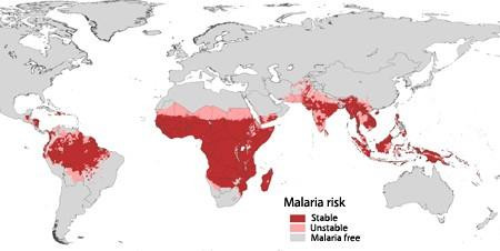 谈疟疾色变?这些预防小知识你知道多少?