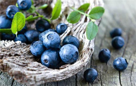 蓝莓的功效和作用 教你怎么吃它