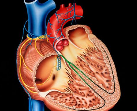 心肌梗塞有前兆 防心肌梗塞2大警讯