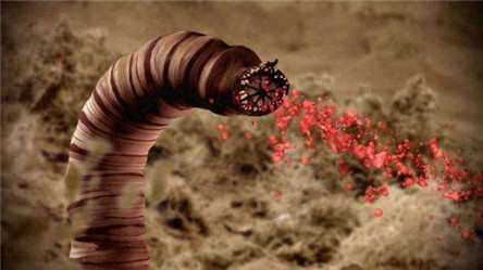 蒙古死亡蠕虫 戈壁滩的神秘生物